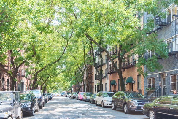 
            Allen House Building, 201 East 71st Street, New York, NY, 10021, Lenox Hill NYC Condos        